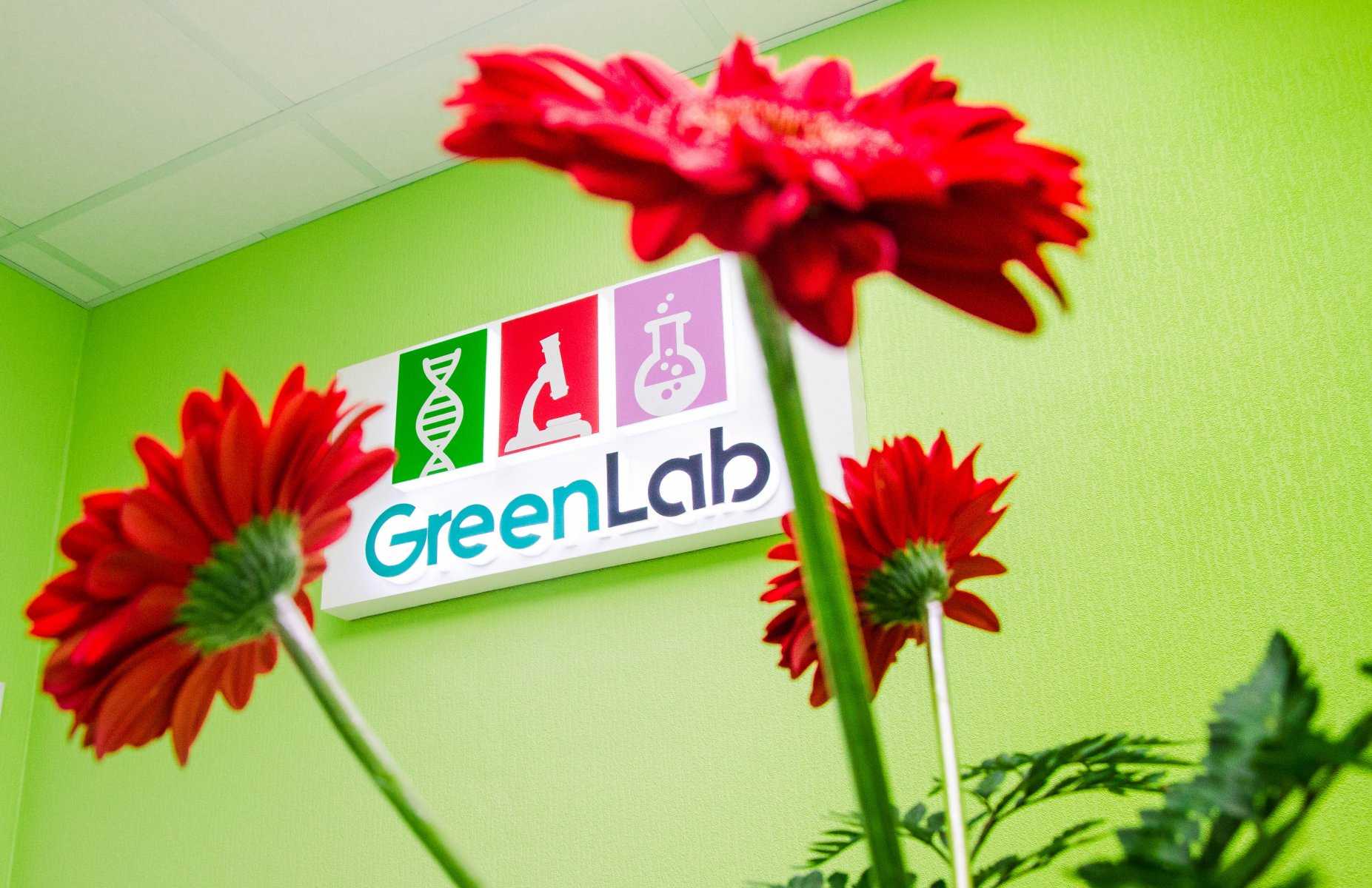 GREEN LAB фото 1