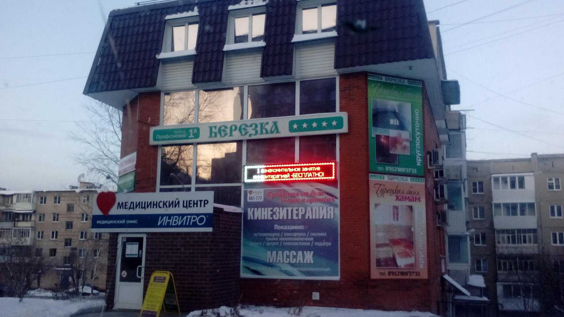 Березка фото 1